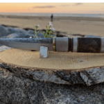 actualité précédente