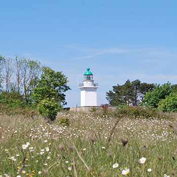 Jardins et espaces naturels