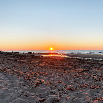 Horaires des marées